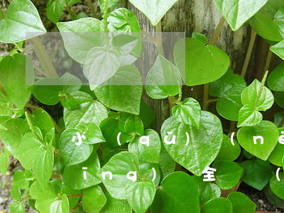 小區(qū)內(nèi)掛廣告，要經(jīng)過全體業(yè)主的同意嗎？
